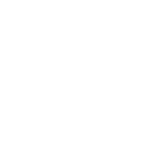 Grupo Licon